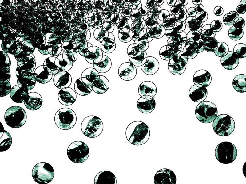 Melitta Moschik DISTRIBUTION Serie II 2003