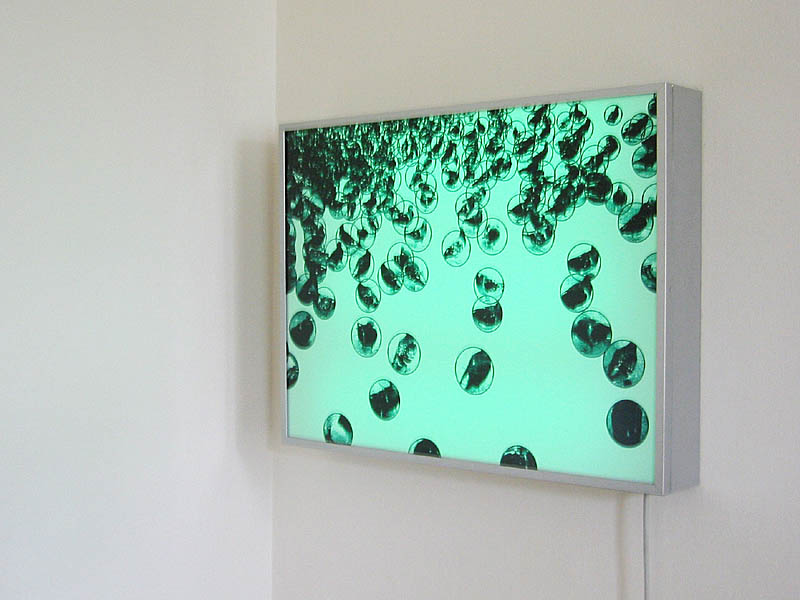 Melitta Moschik DISTRIBUTION Serie II 2003