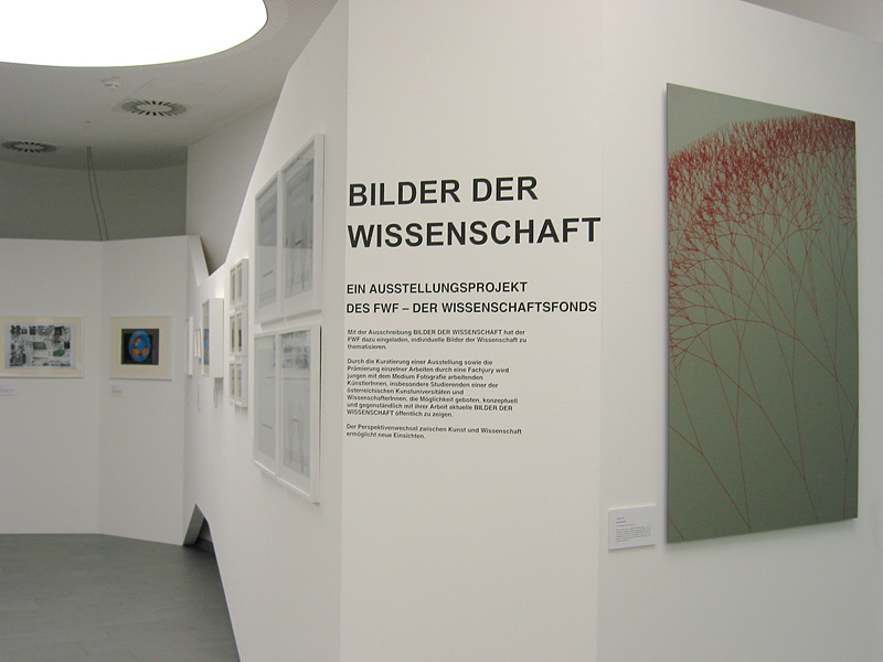 BINARY TREE, Ausstellungsansicht